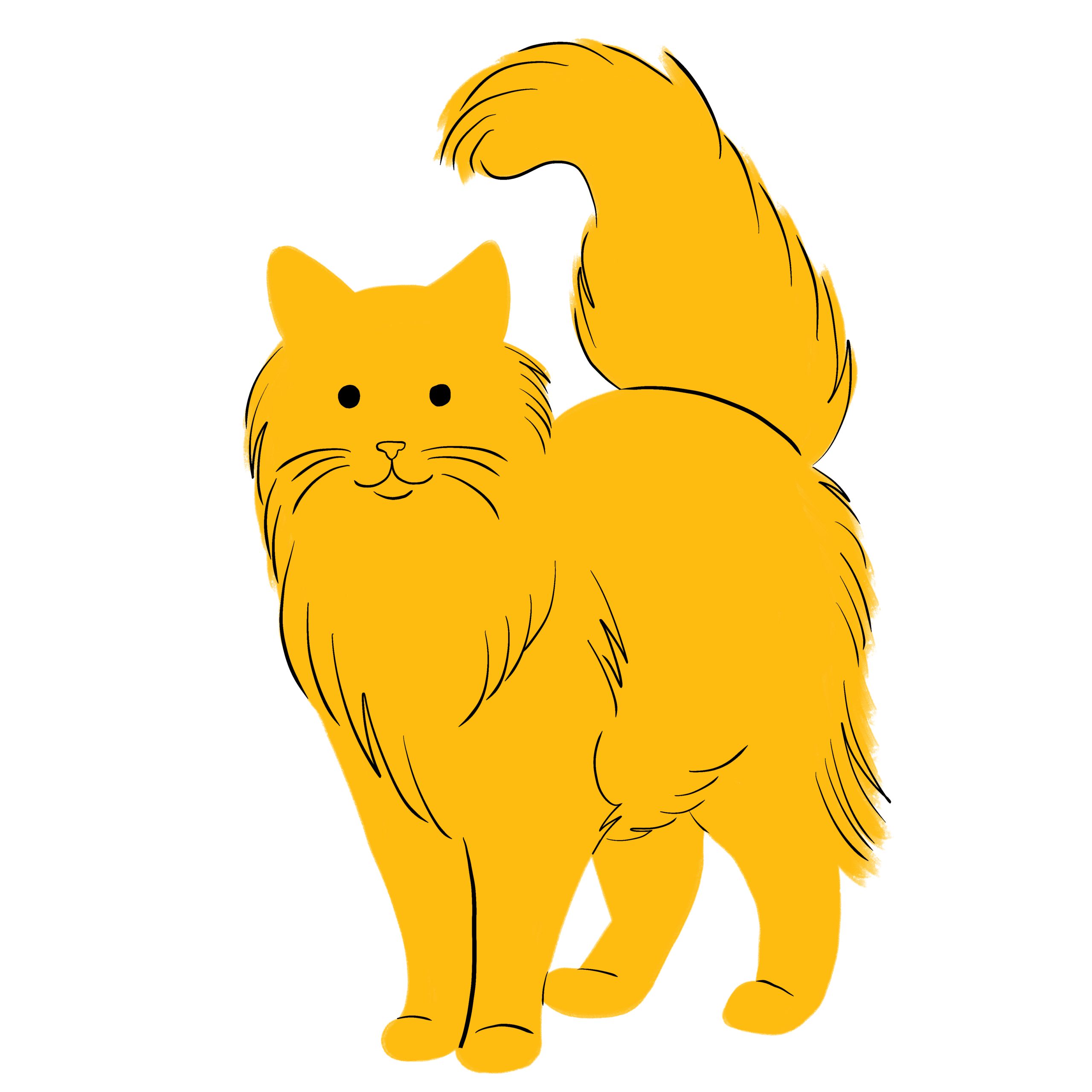 Wags and whiskers cat