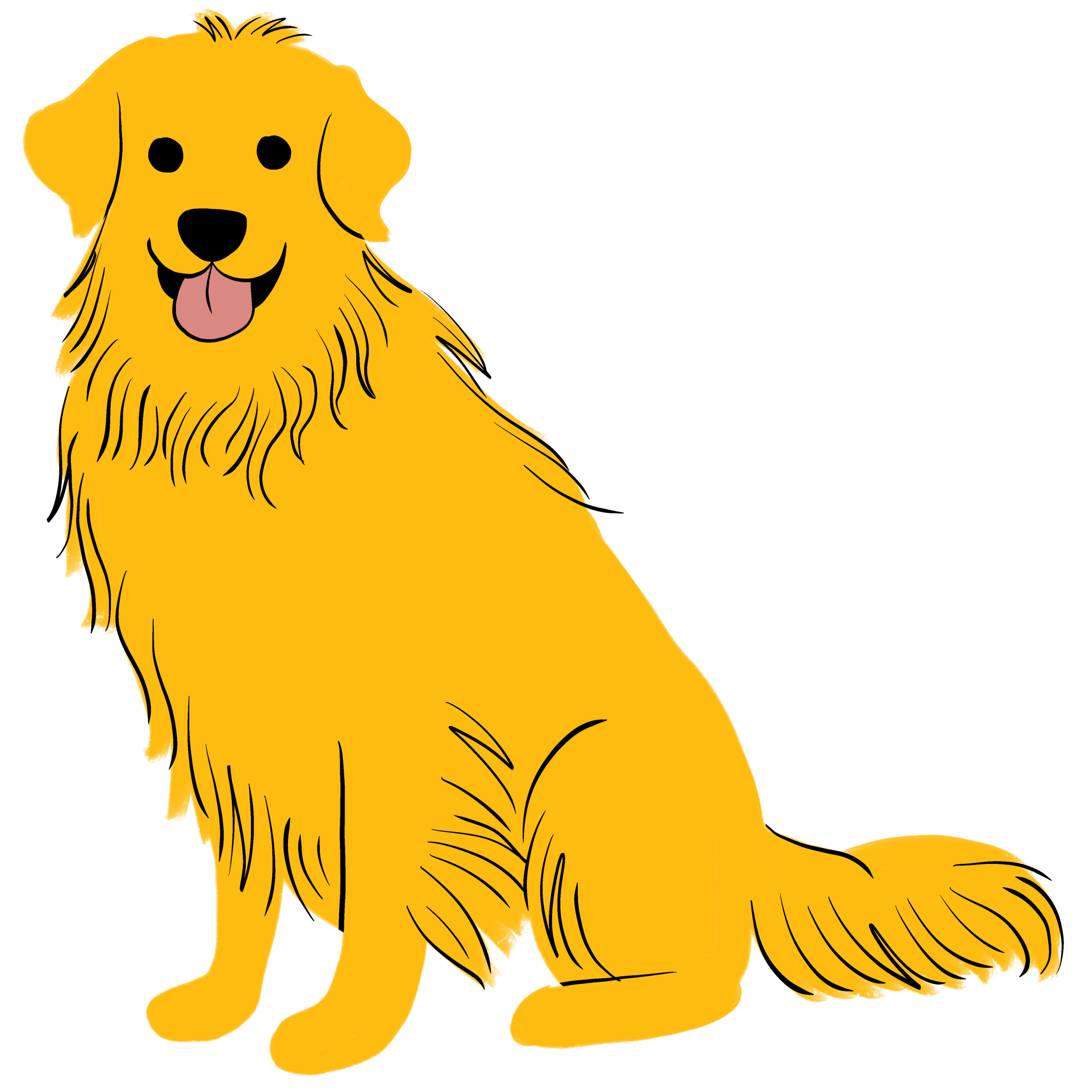 Wags and whiskers Golden