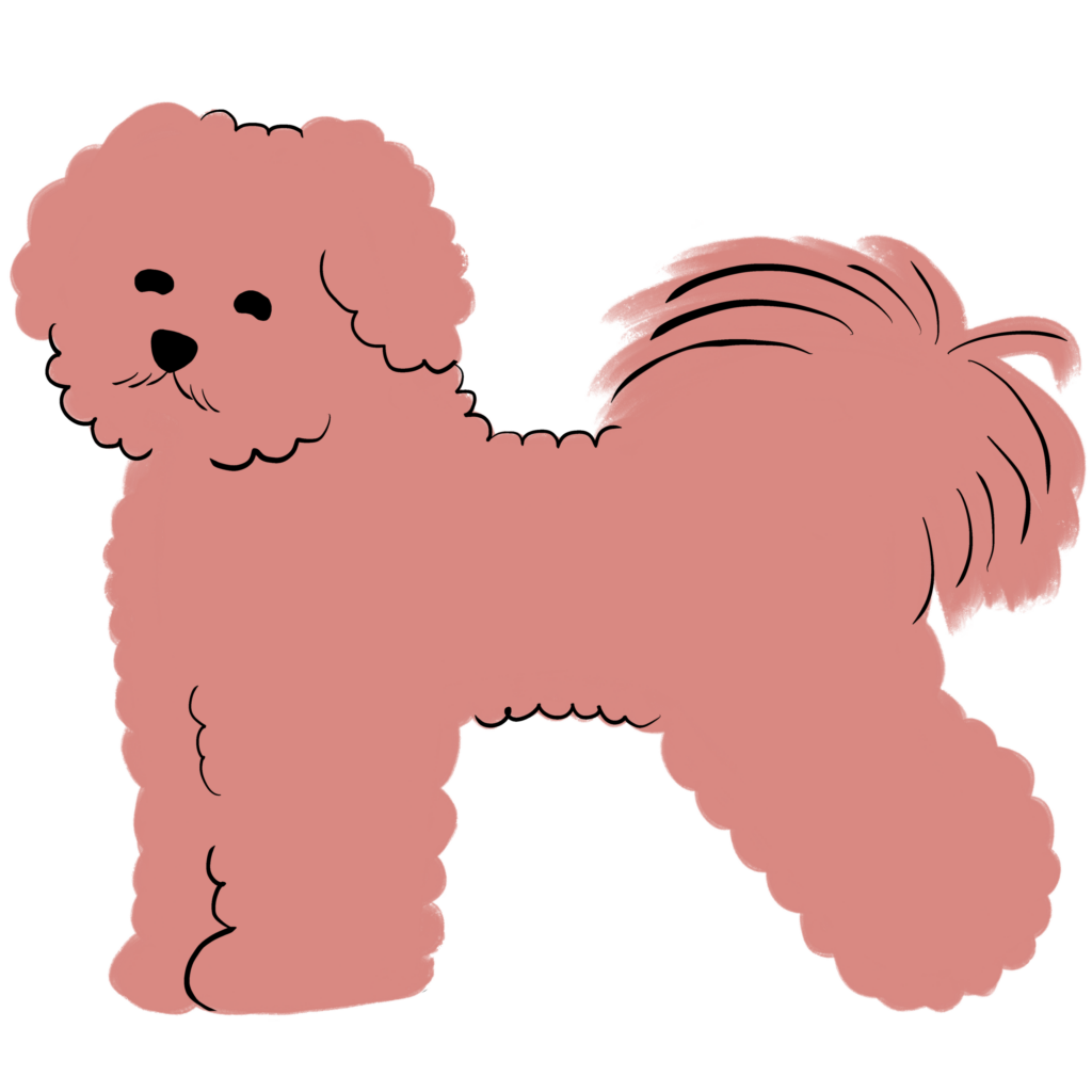 small dog wags and whiskers brand elements