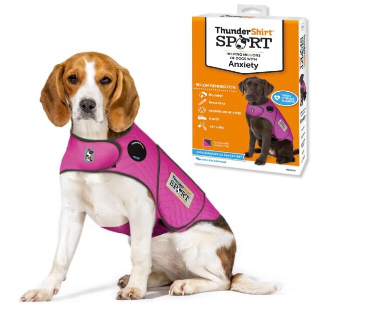 thunder shirt for dogs