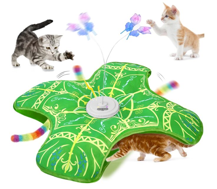 cat toy qraxond