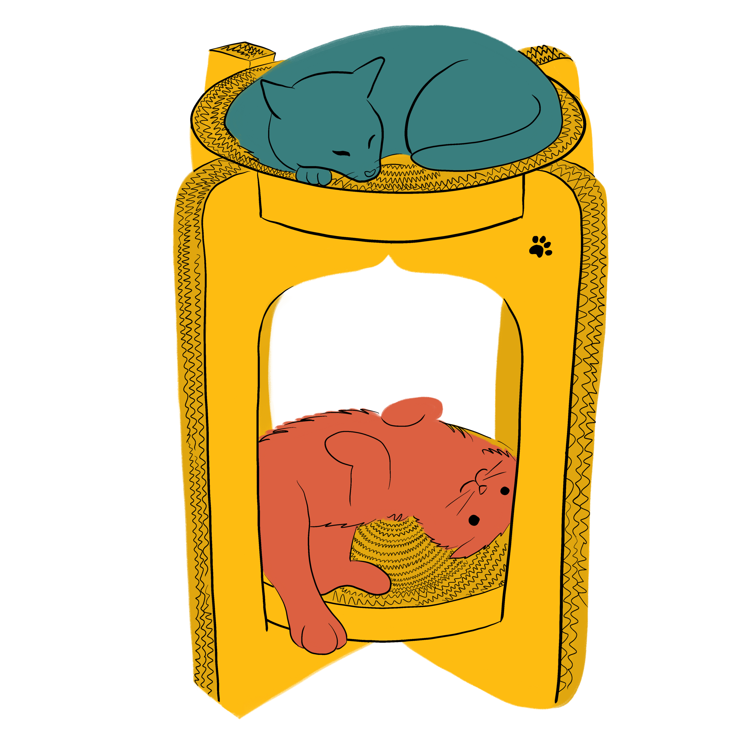Cat_Toys